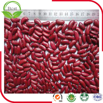 2016 Crop Kidney Beans Dark Red